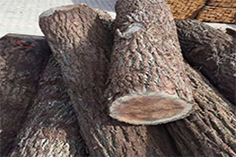 防腐木常见的几种种类